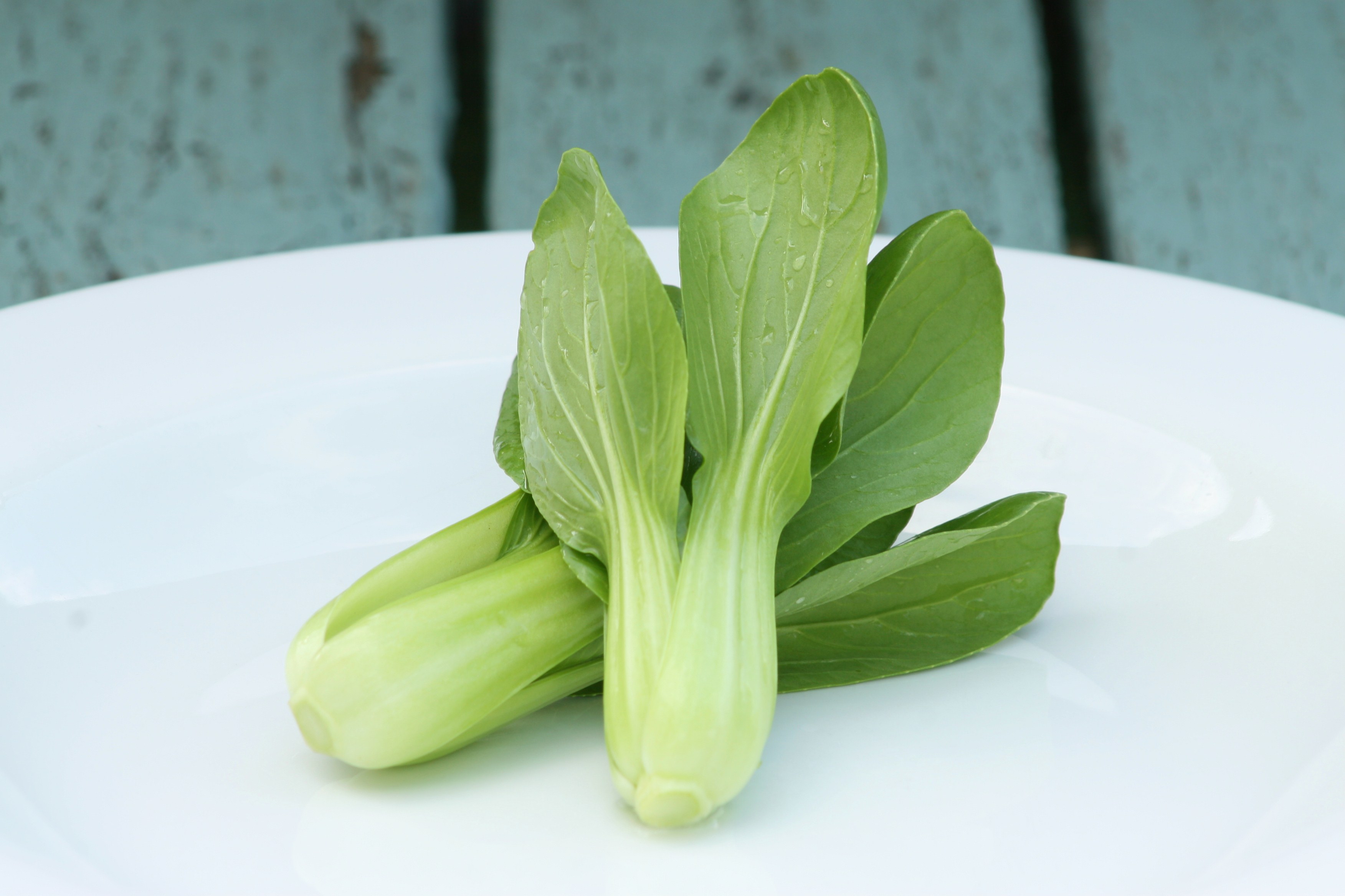 Green stemmed Pak Choi