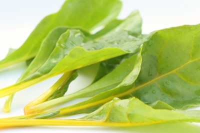 Yellow chard