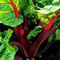 red chard